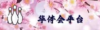 使用指南与常见问题